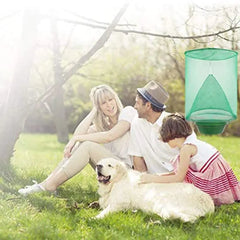 صائد الذباب السريع